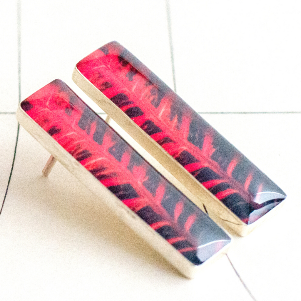 Aretes Rectangulares Fotografía Hoja Crotón Rojo