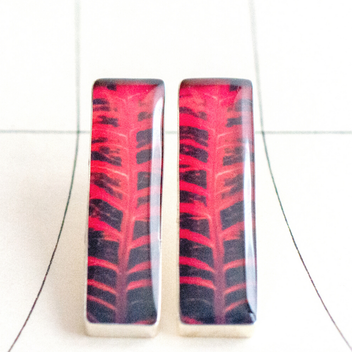 Aretes Rectangulares Fotografía Hoja Crotón Rojo