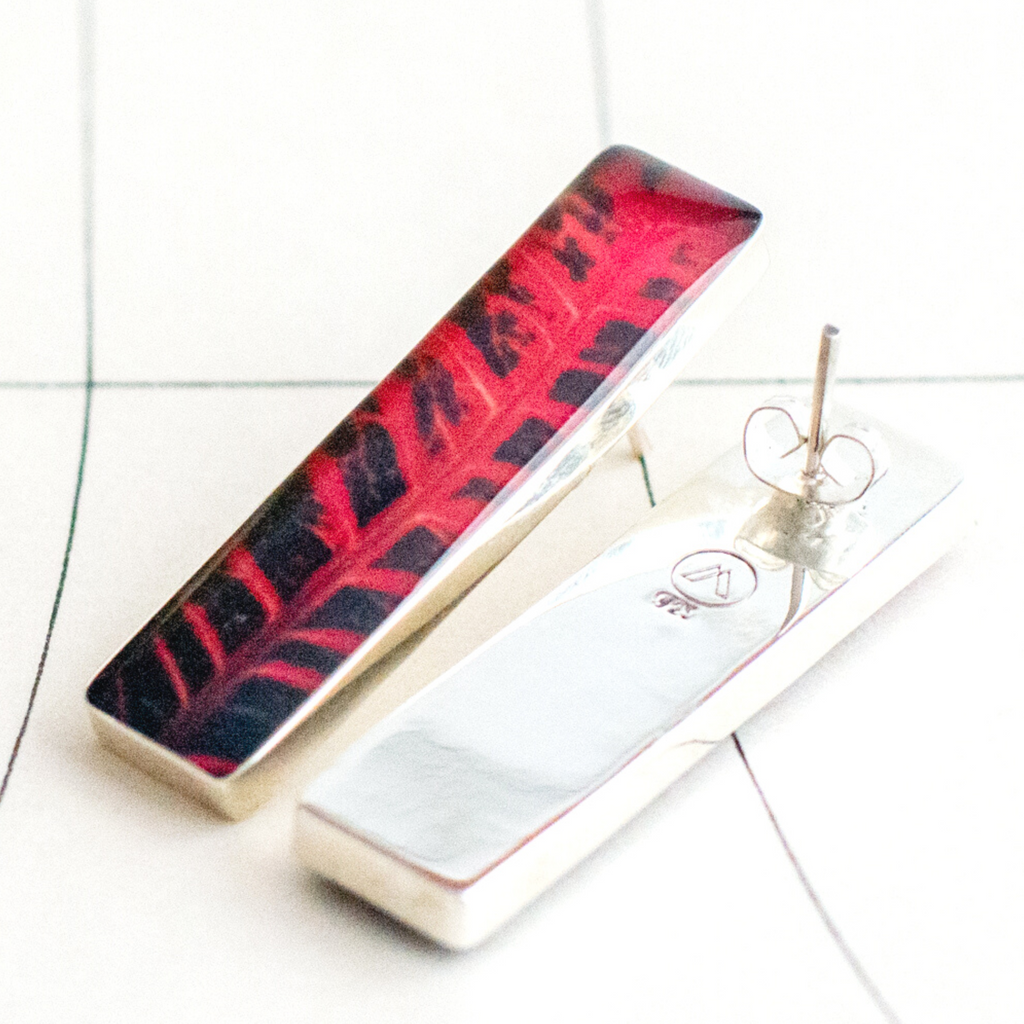 Aretes Rectangulares Fotografía Hoja Crotón Rojo
