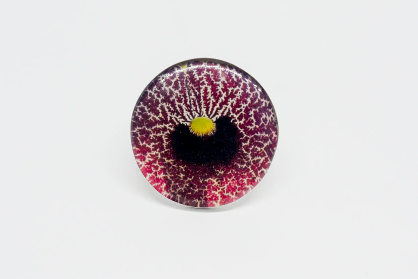 Maxi Anillo Flor Aristolochia - La flor del Nacimiento