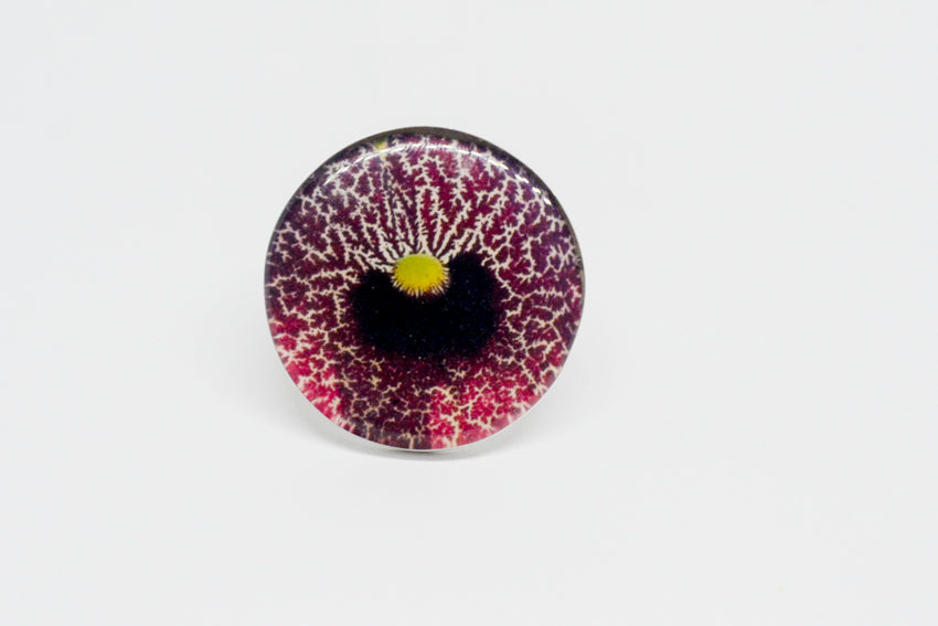 Maxi Anillo Flor Aristolochia - La flor del Nacimiento