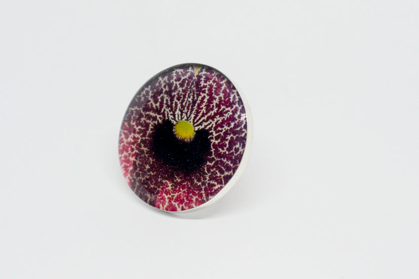 Maxi Anillo Flor Aristolochia - La flor del Nacimiento