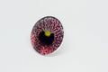 Maxi Anillo Flor Aristolochia - La flor del Nacimiento