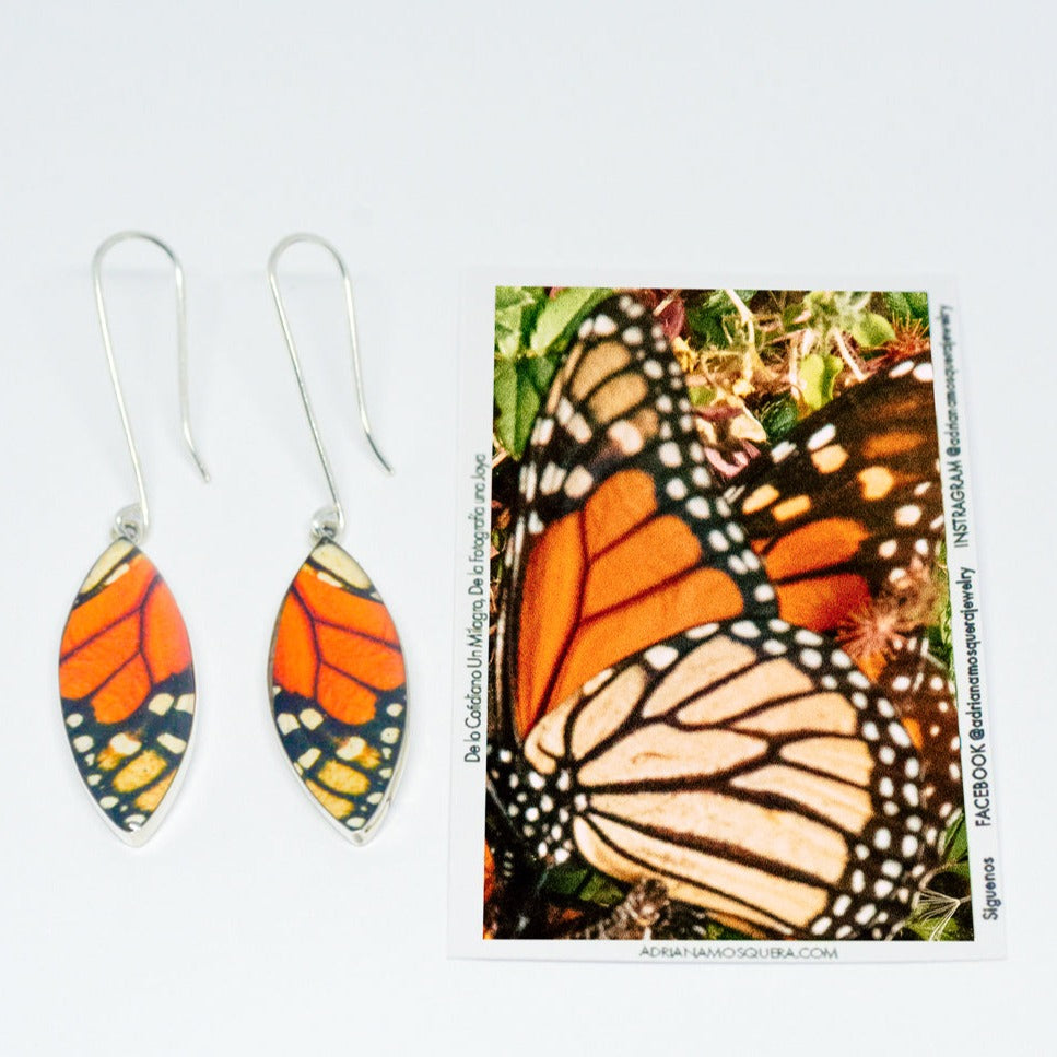 Aretes Colgantes Ovalados Monarca