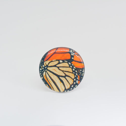 Anillo Alas de Mariposa Monarca