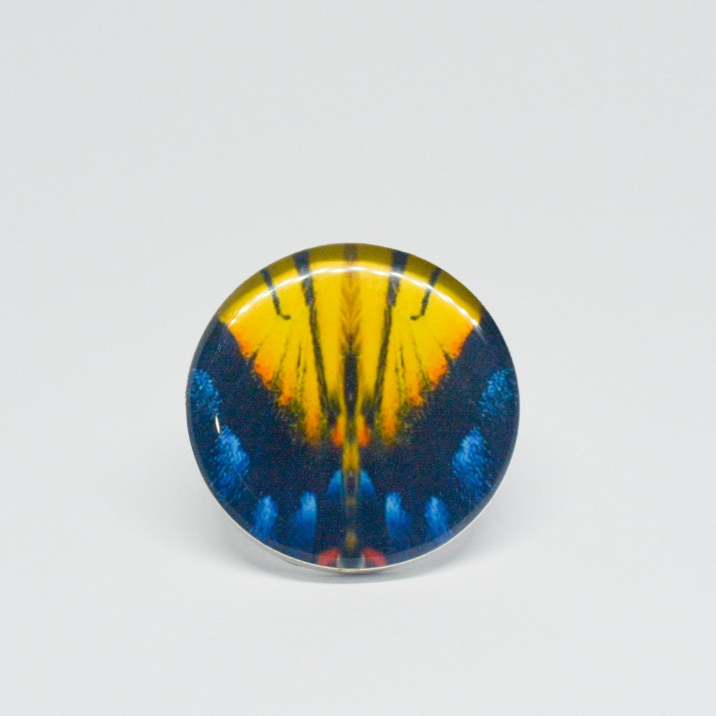 Anillo Redondo Alas de Mariposa Tigre