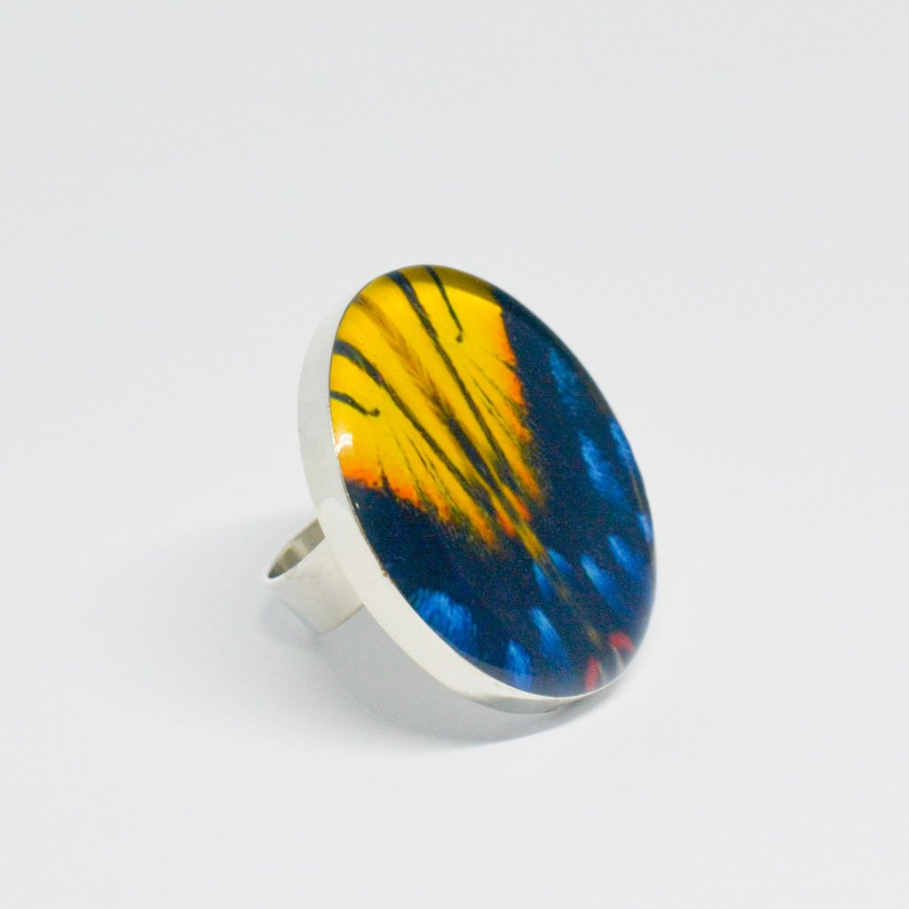 Anillo Redondo Alas de Mariposa Tigre
