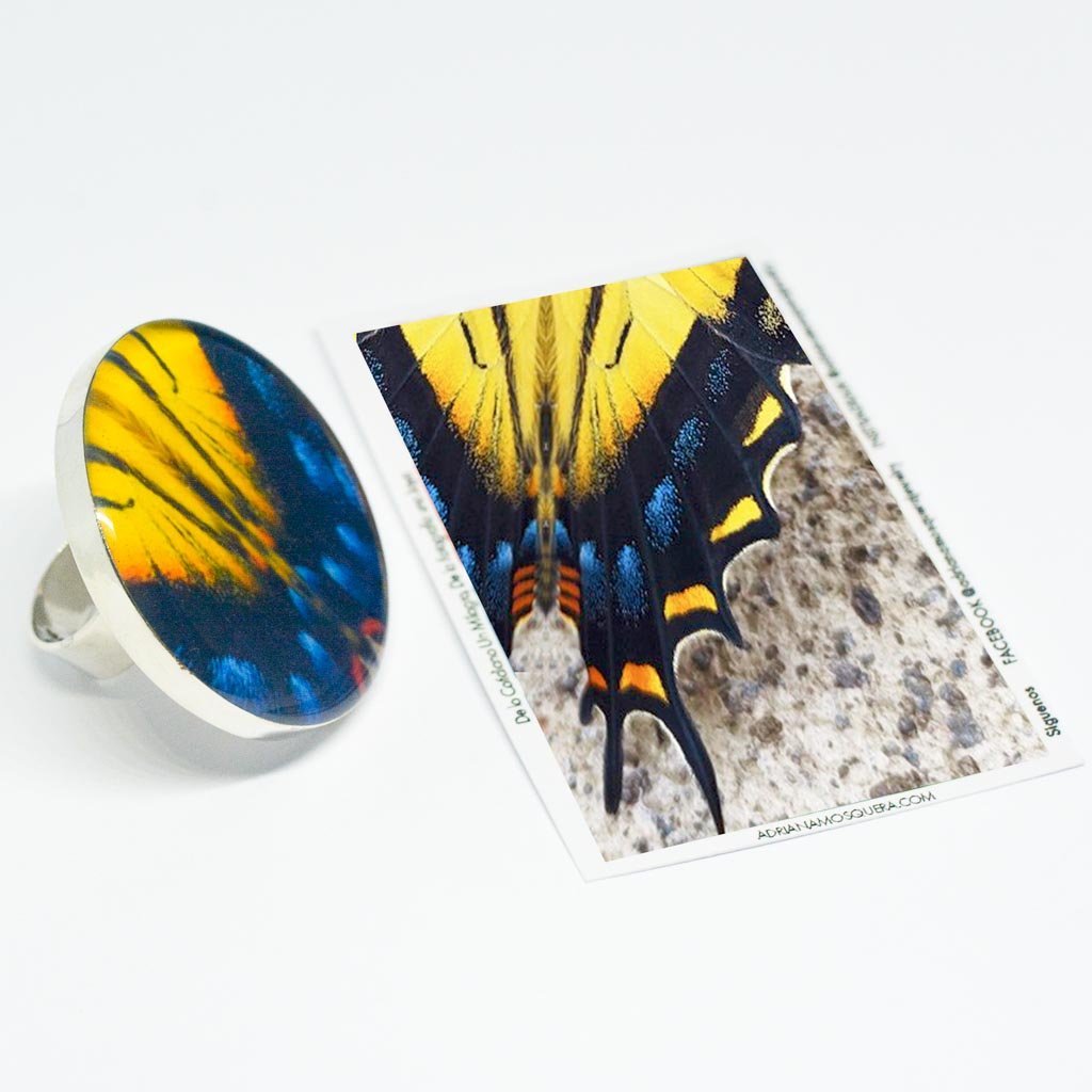 Anillo Redondo Alas de Mariposa Tigre