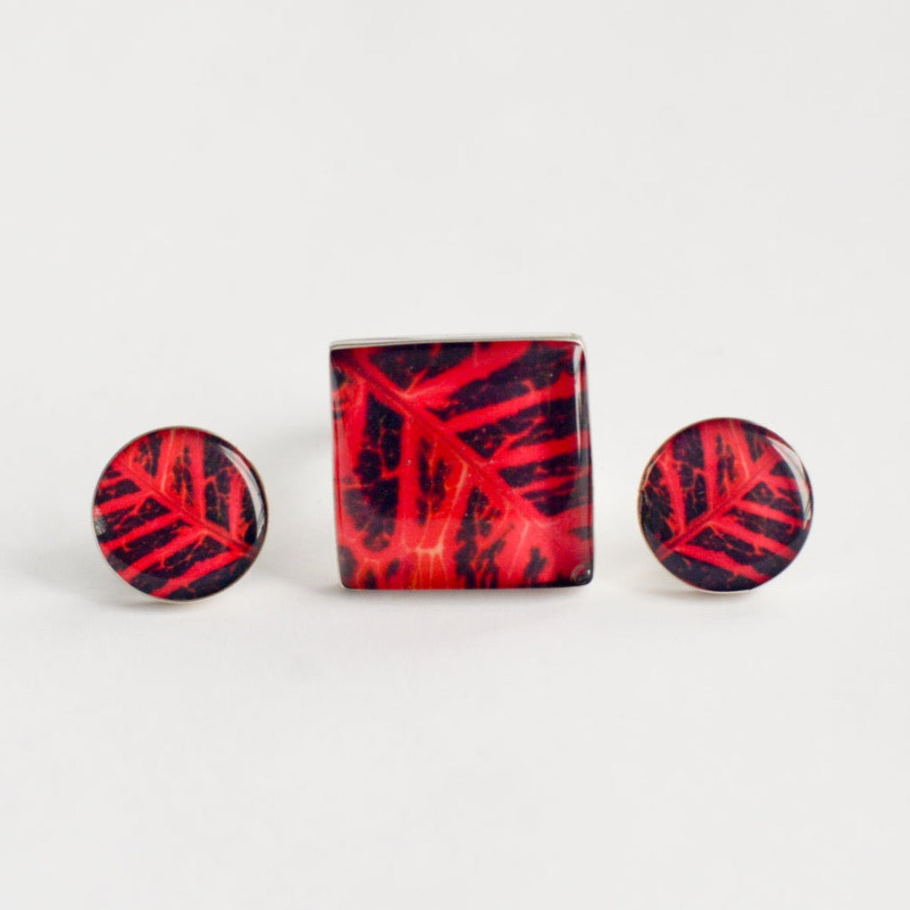 Aretes Crotón Rojo