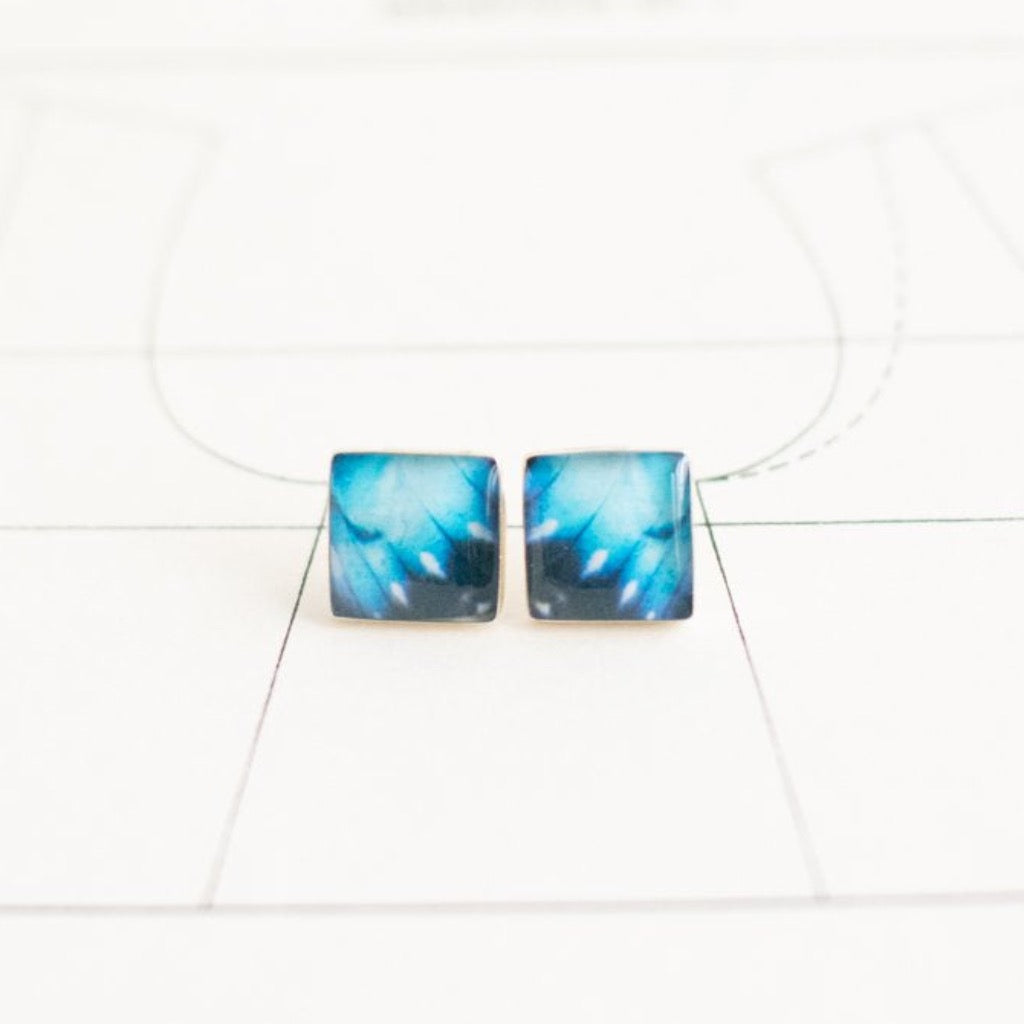Aretes Morpho Azul
