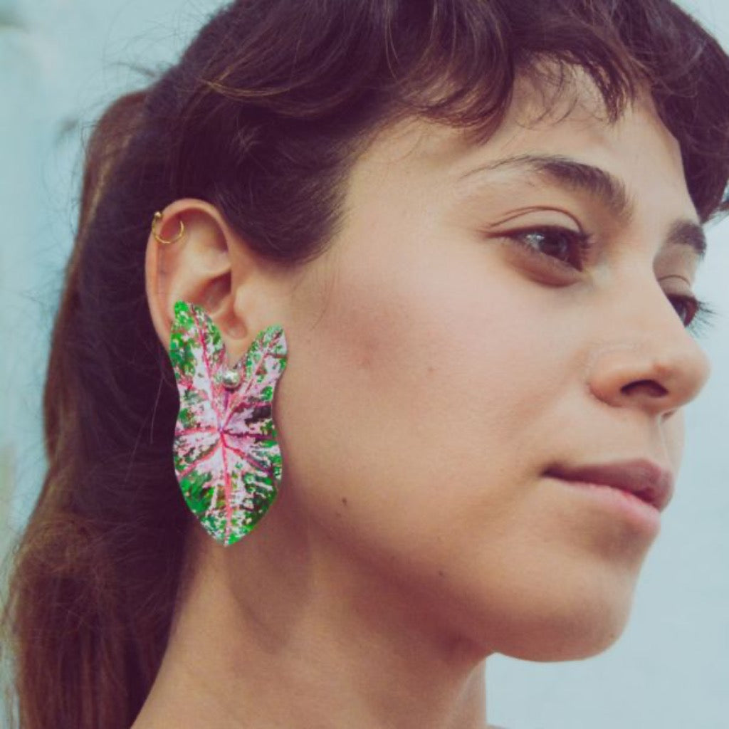 Maxi Aretes Hoja Caladium