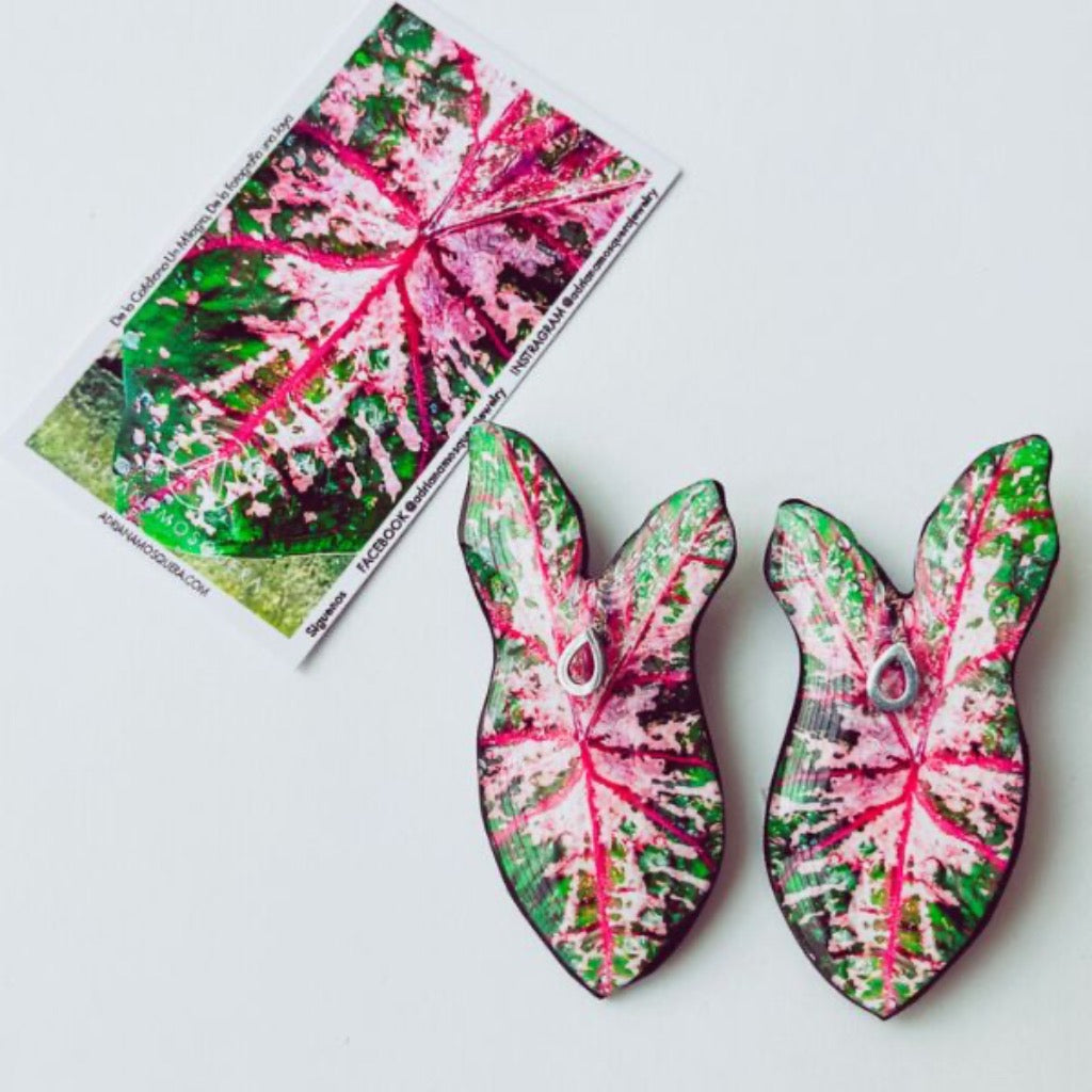 Maxi Aretes Hoja Caladium