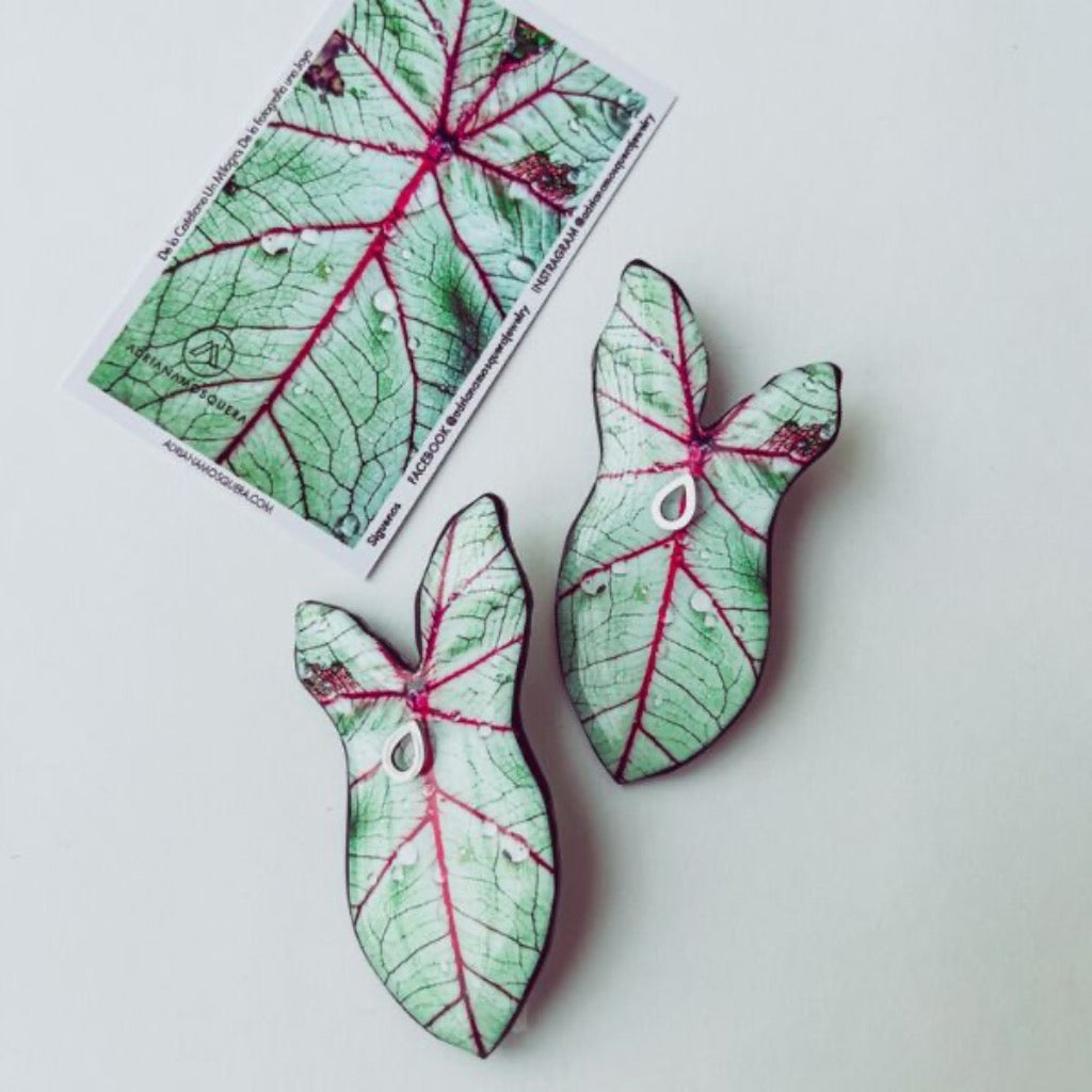 Maxi Aretes Hoja Caladium