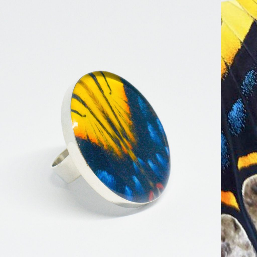 Anillo Redondo Alas de Mariposa Tigre