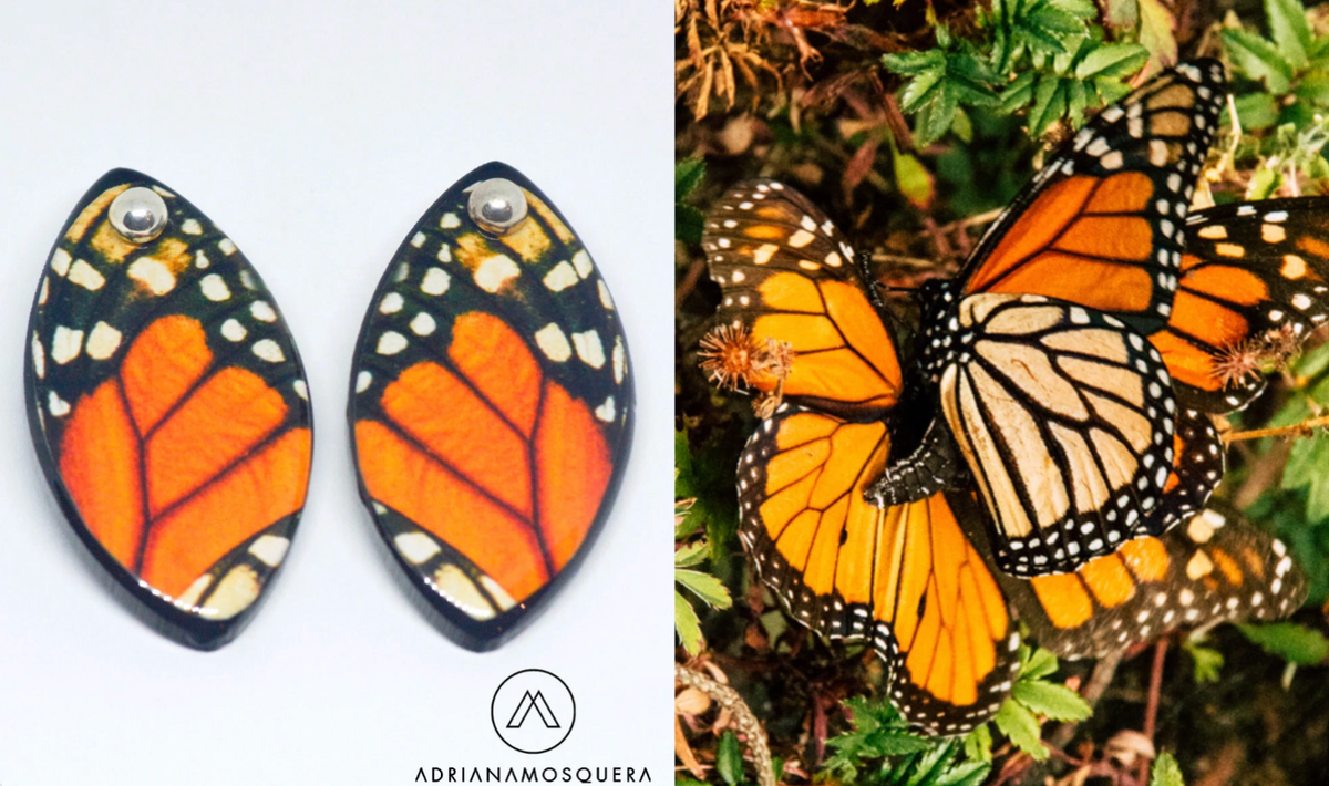 Aretes Ovalados de Acrílico con Mariposa Monarca