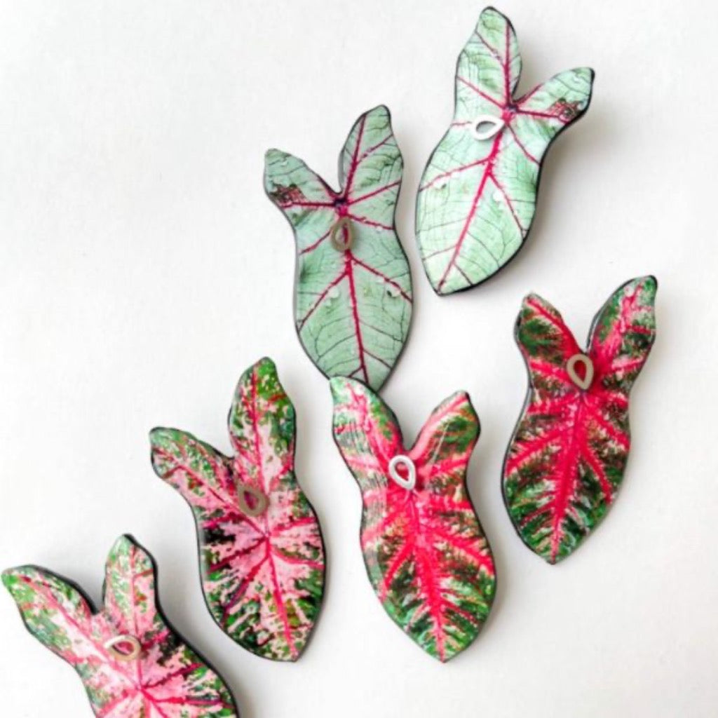 Maxi Aretes Hoja Caladium